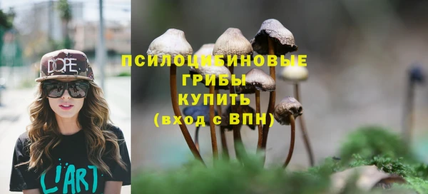 бошки Верхнеуральск